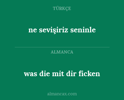 ne sevişiriz seninle - was die mit dir ficken