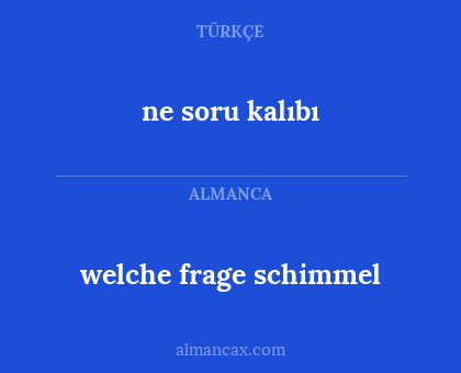 ne soru kalıbı - welche frage schimmel