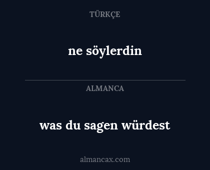 ne söylerdin - was du sagen würdest