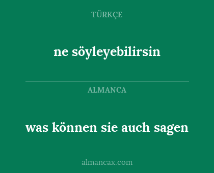 ne söyleyebilirsin - was können sie auch sagen
