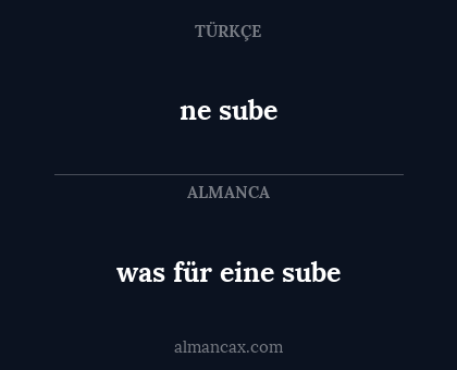was für eine sube - ne sube