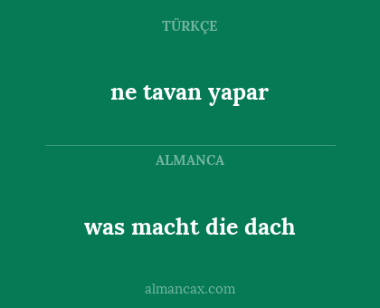 ne tavan yapar - was macht die dach
