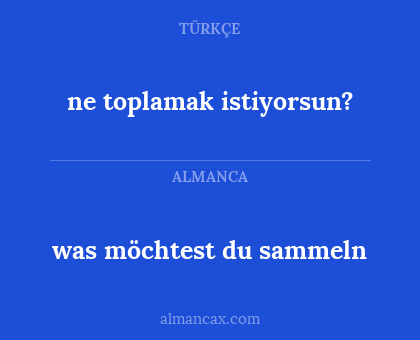 was möchtest du sammeln - ne toplamak istiyorsun?