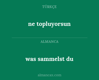 ne topluyorsun - was sammelst du