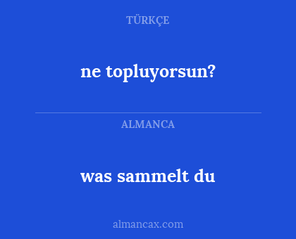was sammelt du - ne topluyorsun?