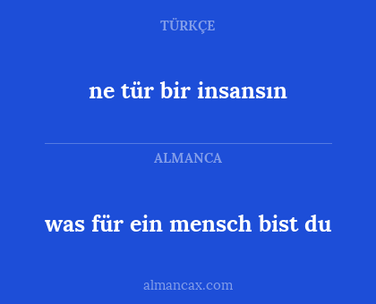 was für ein mensch bist du - ne tür bir insansın