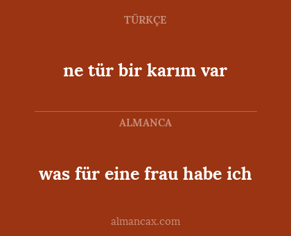 ne tür bir karım var - was für eine frau habe ich