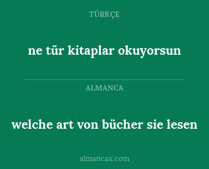 welche art von bücher sie lesen - ne tür kitaplar okuyorsun