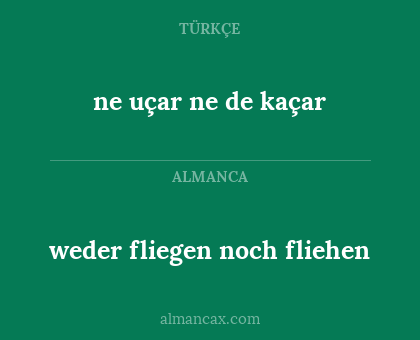 ne uçar ne de kaçar - weder fliegen noch fliehen