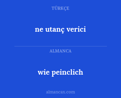 wie peinclich - ne utanç verici