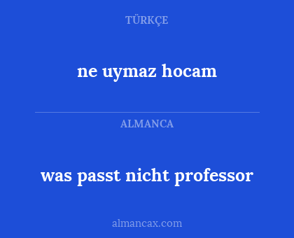 ne uymaz hocam - was passt nicht professor