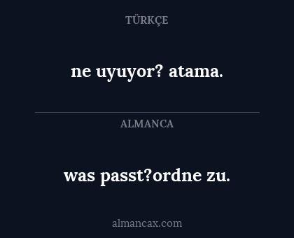 was passt?ordne zu. - ne uyuyor? atama.