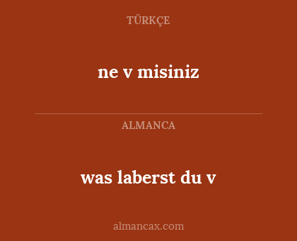 was laberst du v - ne v misiniz