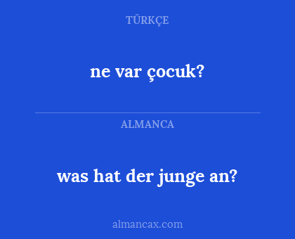 was hat der junge an? - ne var çocuk?