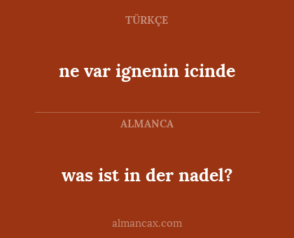 was ist in der nadel? - ne var ignenin icinde
