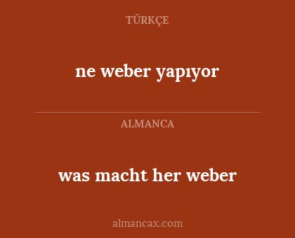 ne weber yapıyor - was macht her weber