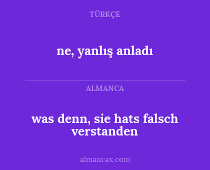 was denn, sie hats falsch verstanden - ne, yanlış anladı