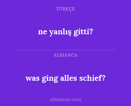 was ging alles schief? - ne yanlış gitti?