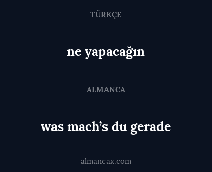 ne yapacağın - was mach’s du gerade