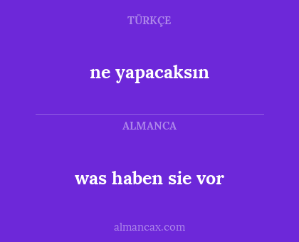 ne yapacaksın - was haben sie vor
