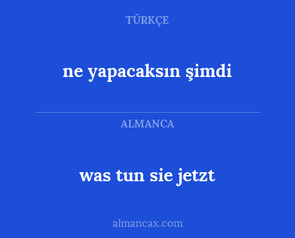 ne yapacaksın şimdi - was tun sie jetzt