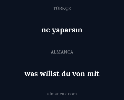 ne yaparsın - was willst du von mit