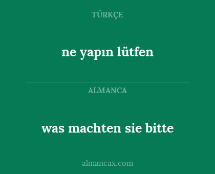 ne yapın lütfen - was machten sie bitte