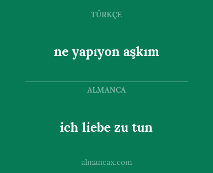 ich liebe zu tun - ne yapıyon aşkım