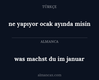 was machst du im januar - ne yapıyor ocak ayında misin