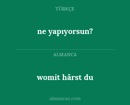 ne yapıyorsun? - womit härst du