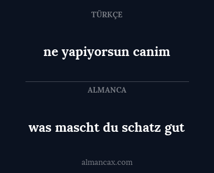 was mascht du schatz gut - ne yapiyorsun canim