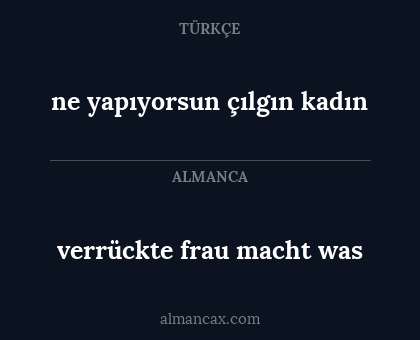 ne yapıyorsun çılgın kadın - verrückte frau macht was