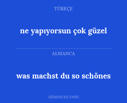 was machst du so schönes - ne yapıyorsun çok güzel