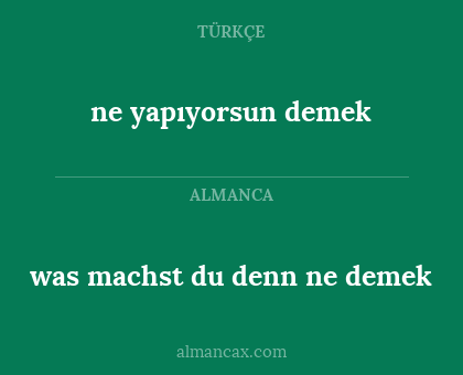 ne yapıyorsun demek - was machst du denn ne demek