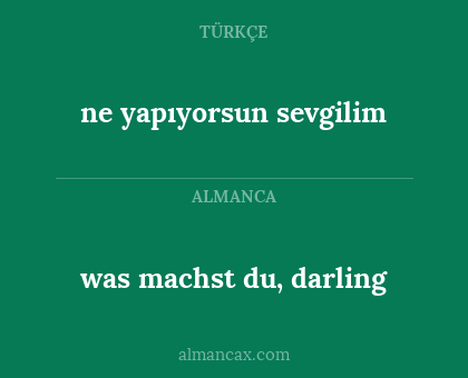 ne yapıyorsun sevgilim - was machst du, darling