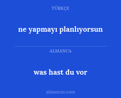was hast du vor - ne yapmayı planlıyorsun