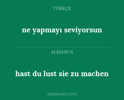 ne yapmayı seviyorsun - hast du lust sie zu machen