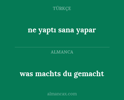 was machts du gemacht - ne yaptı sana yapar