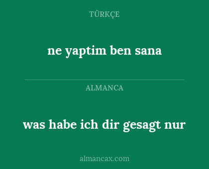 ne yaptim ben sana - was habe ich dir gesagt nur