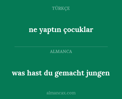 ne yaptın çocuklar - was hast du gemacht jungen