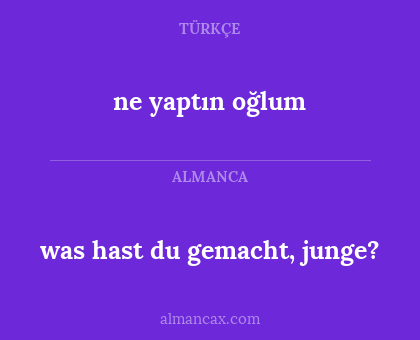 was hast du gemacht, junge? - ne yaptın oğlum