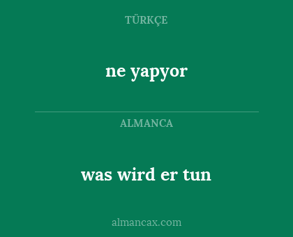 ne yapyor - was wird er tun