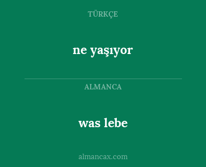 was lebe - ne yaşıyor