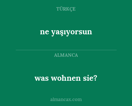 was wohnen sie? - ne yaşıyorsun