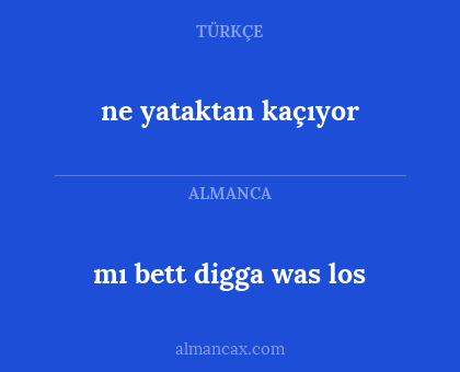 ne yataktan kaçıyor - mı bett digga was los
