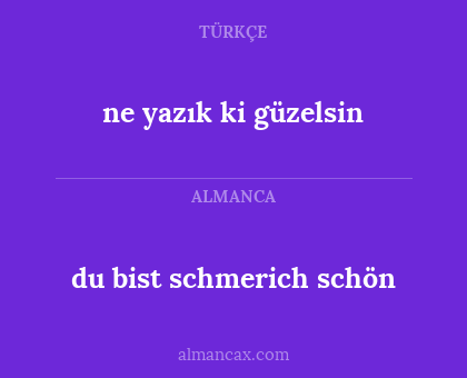 du bist schmerich schön - ne yazık ki güzelsin