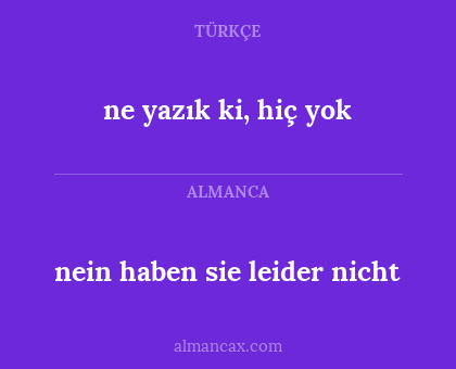nein haben sie leider nicht - ne yazık ki, hiç yok