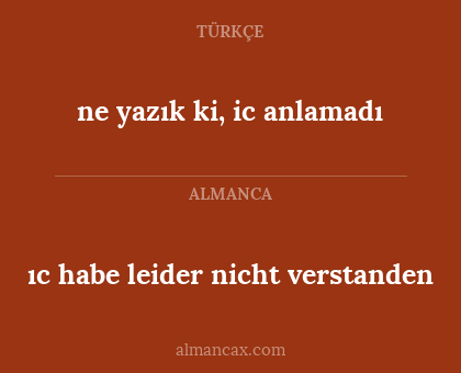 ıc habe leider nicht verstanden - ne yazık ki, ic anlamadı