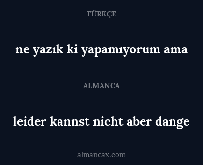 leider kannst nicht aber dange - ne yazık ki yapamıyorum ama