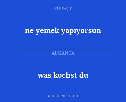 ne yemek yapıyorsun - was kochst du